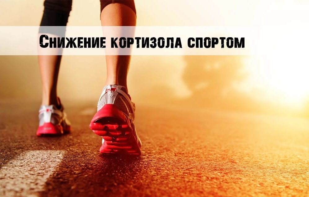 Фото из сети