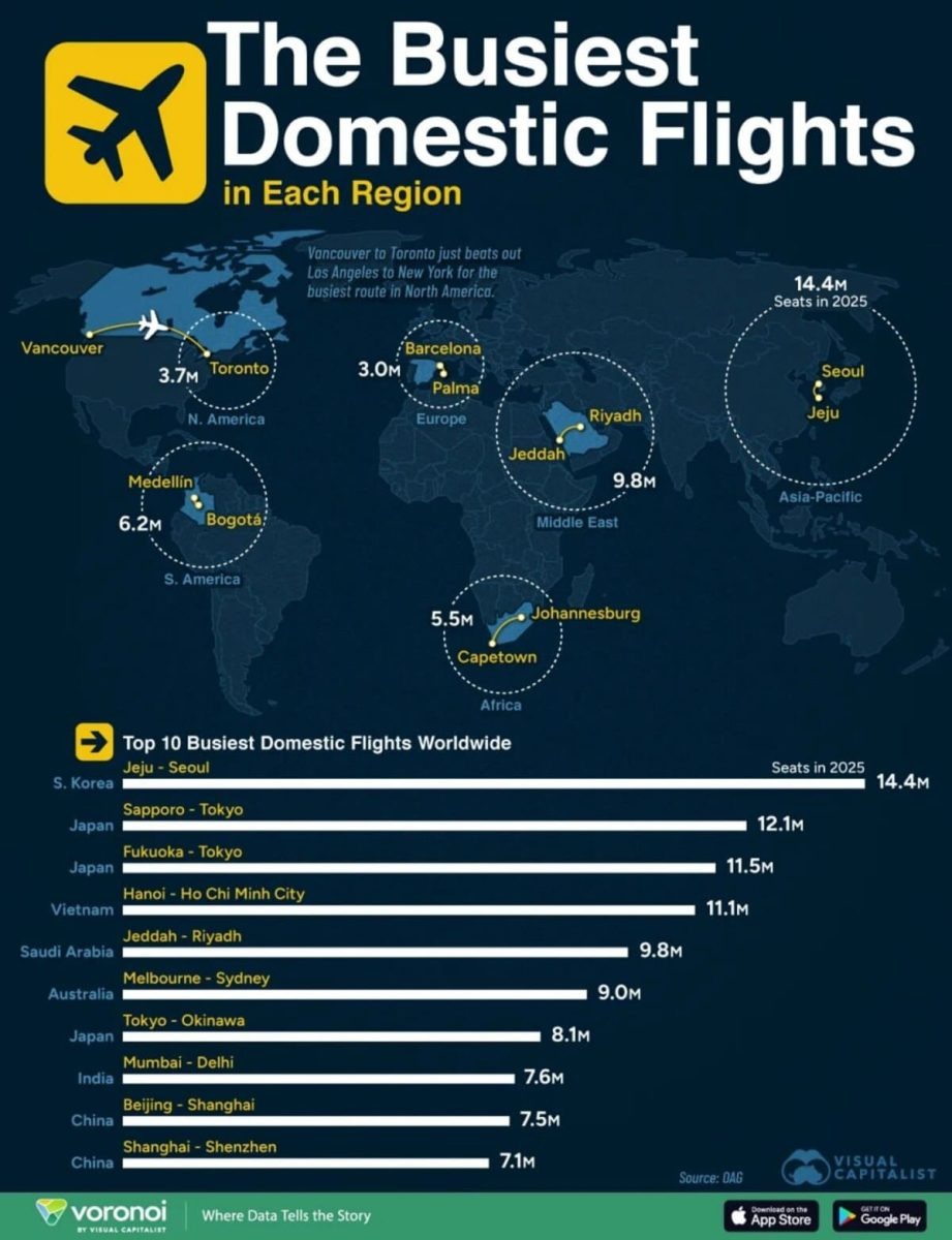    Карта: самые загруженные внутренние авиамаршруты в каждом регионе мира / © Visual Capitalist