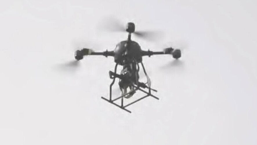    Фото: соцсети