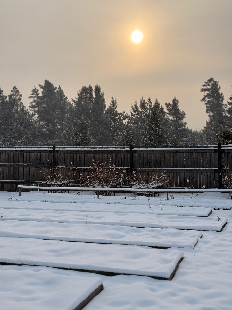 Даже грядки прикрыло