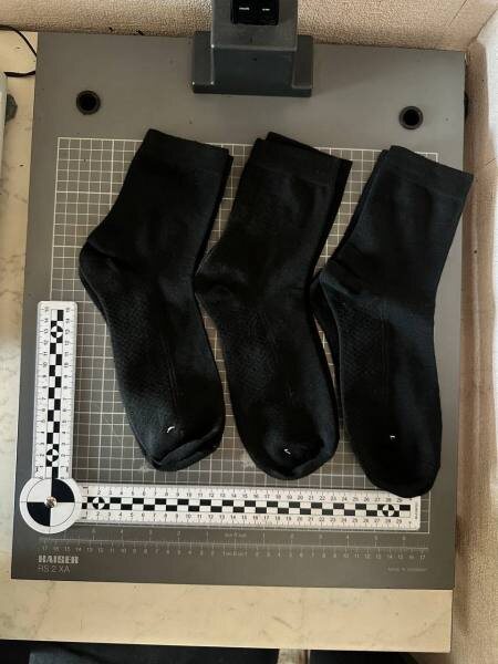 Фото пресс-службы УМВД России по Приморскому краюAdmin  📷
