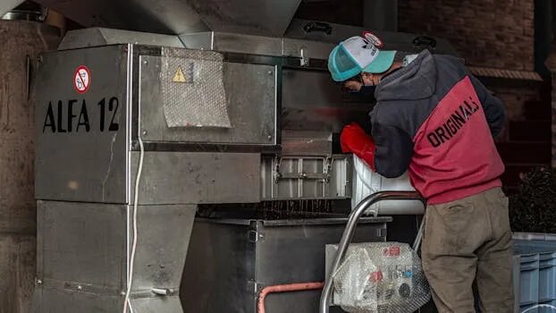    Техническое регулирование: стандарты и требования Михаил