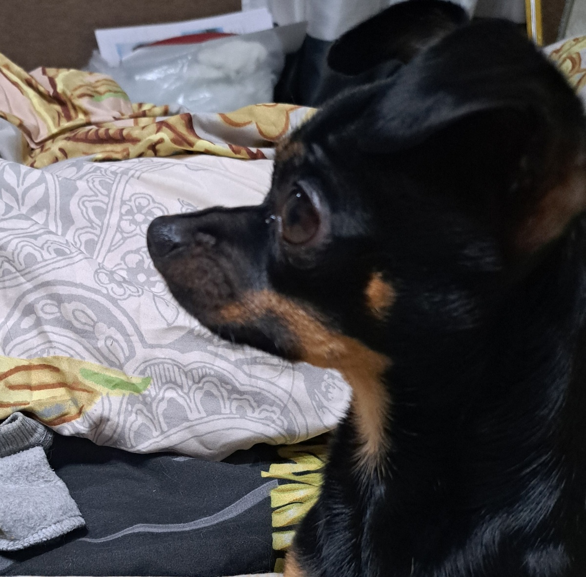 фото из личного архива