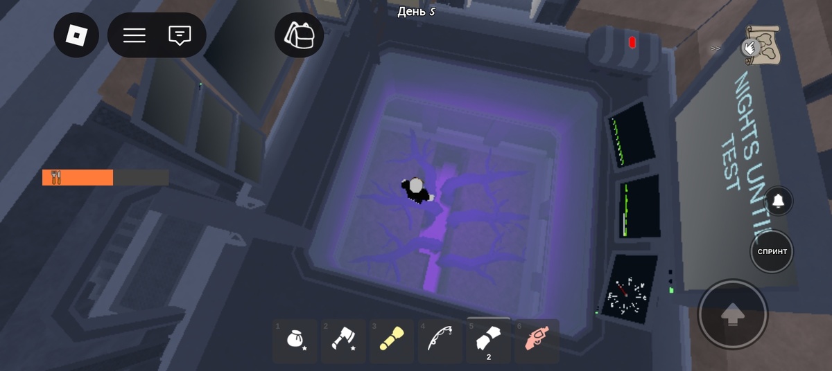 Я в лаборатории. Те самые корни.