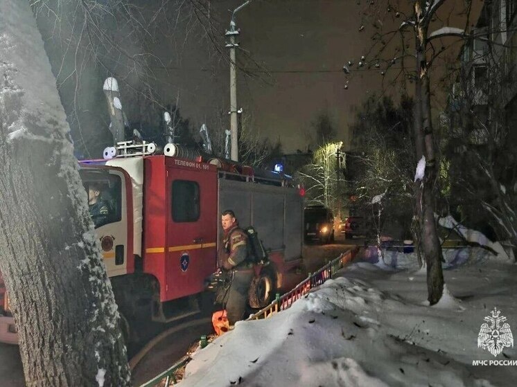     фото: УМЧС России по Тульской области