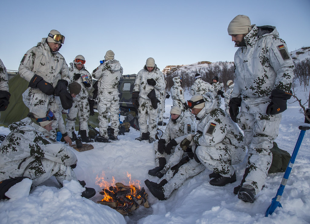 Яндекс. Картинки.
