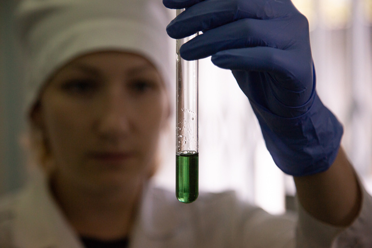    Фото из архива VN.ru