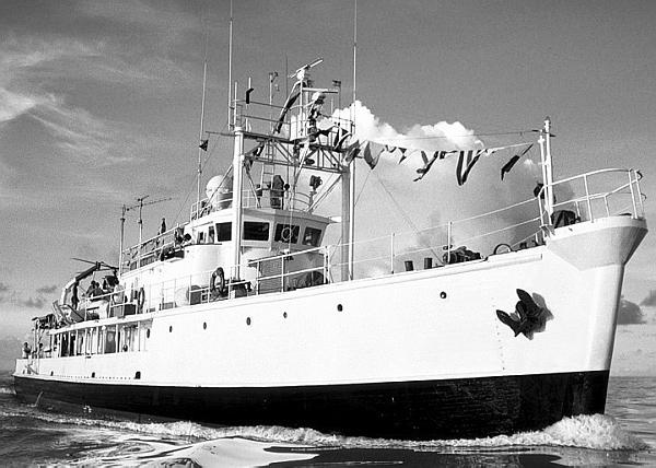 Красотка "Calypso".