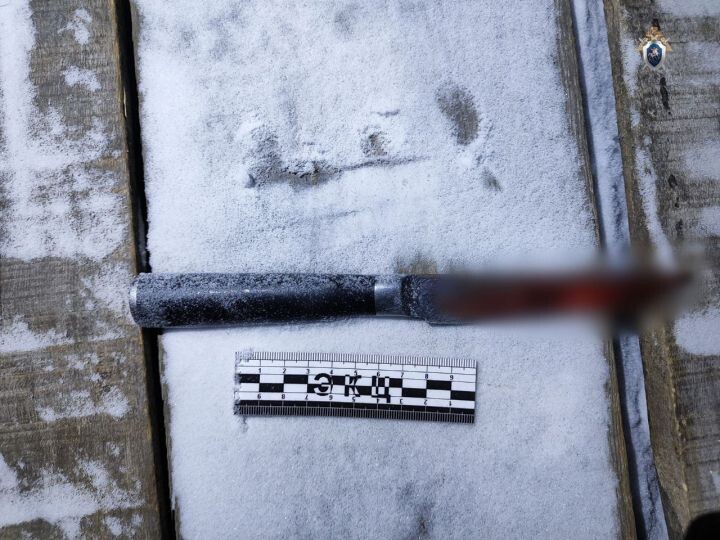    Фото:Пресс-служба СУ СК России по Хабаровскому краю