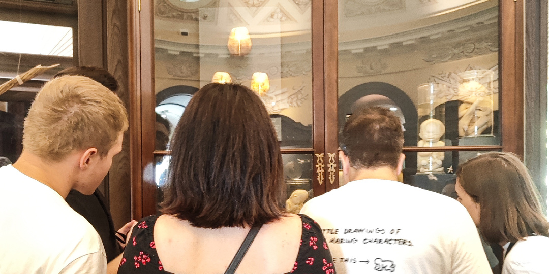 Заспиртованная история: Самые удивительные и пугающие находки из коллекции Петра I