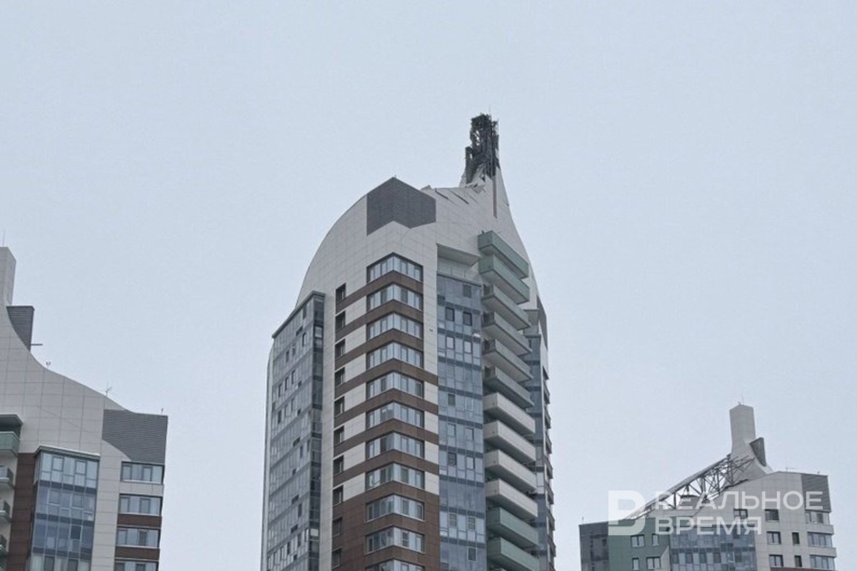   Дарья Пинегина / realnoevremya.ru