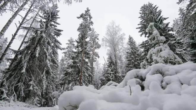 Фото: Александр Дрозденко/telegram