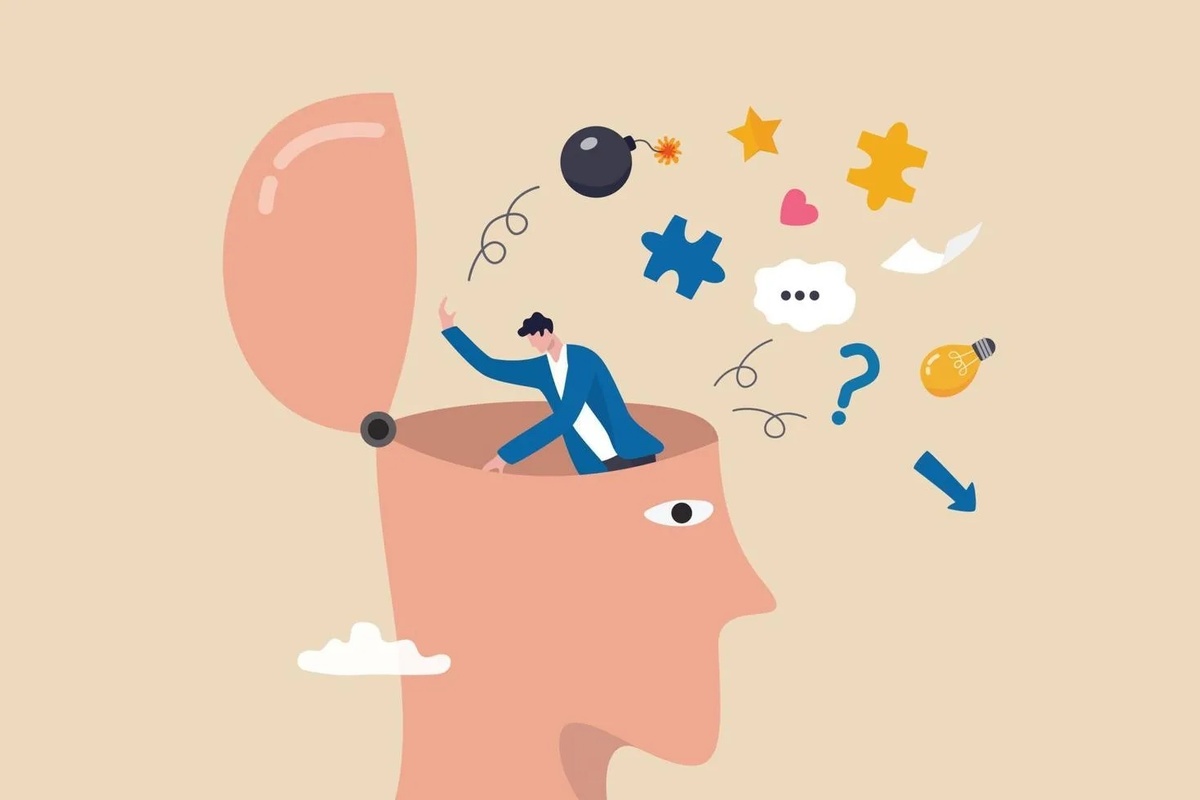 Фото из открытых источников интернета 