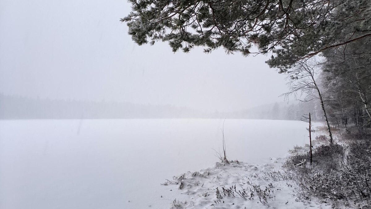    Фото: Maksim Konstantinov/Global Look Press