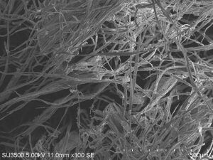    Фото: пресс-служба Университета Решетнёва