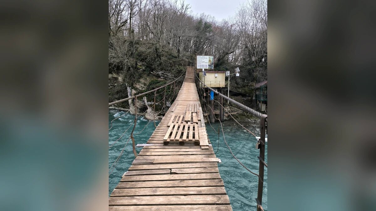    Фото t.me/sochitypical