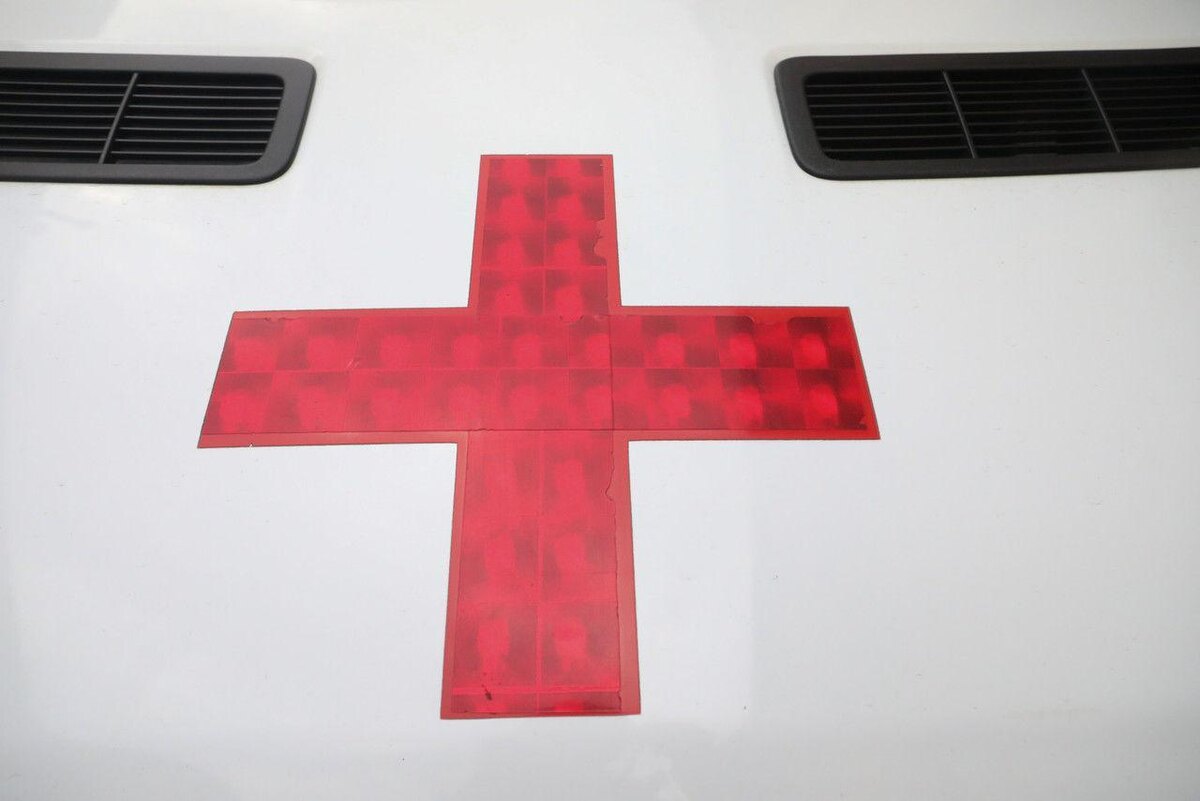 Фото: Александр Глуз / «Петербургский дневник»