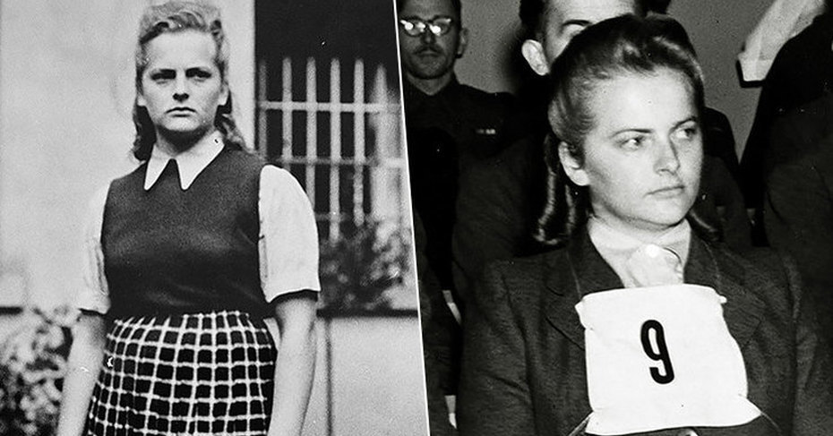 Фото из свободных источников.