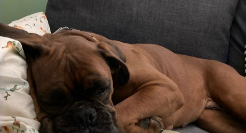 Счастливая минутка