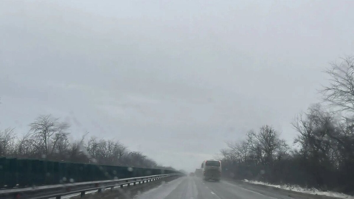    Фото: телеканал «Краснодар»