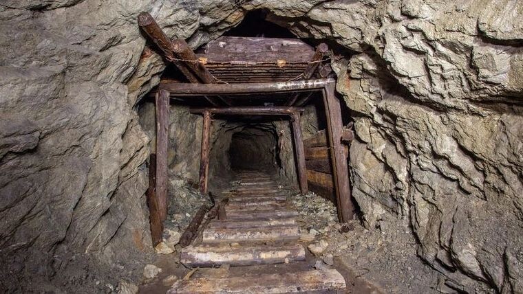    Фото: Mishainik/Shutterstock/Fotodom