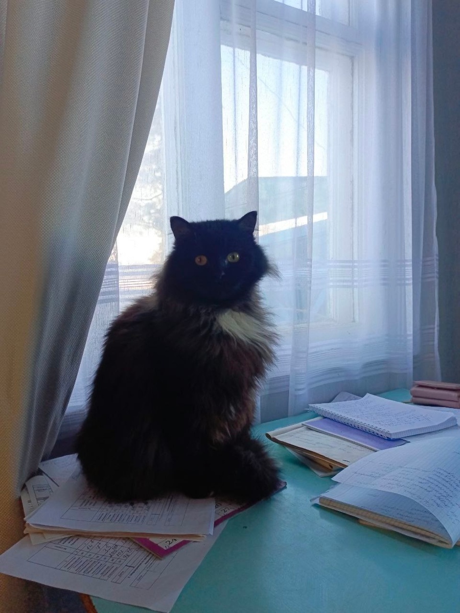 Бархат окружён таким количеством любви и внимания, о котором мы могли только мечтать. 