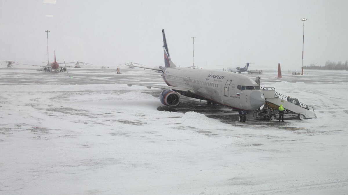    Фото: Andrey Titov/Business Online