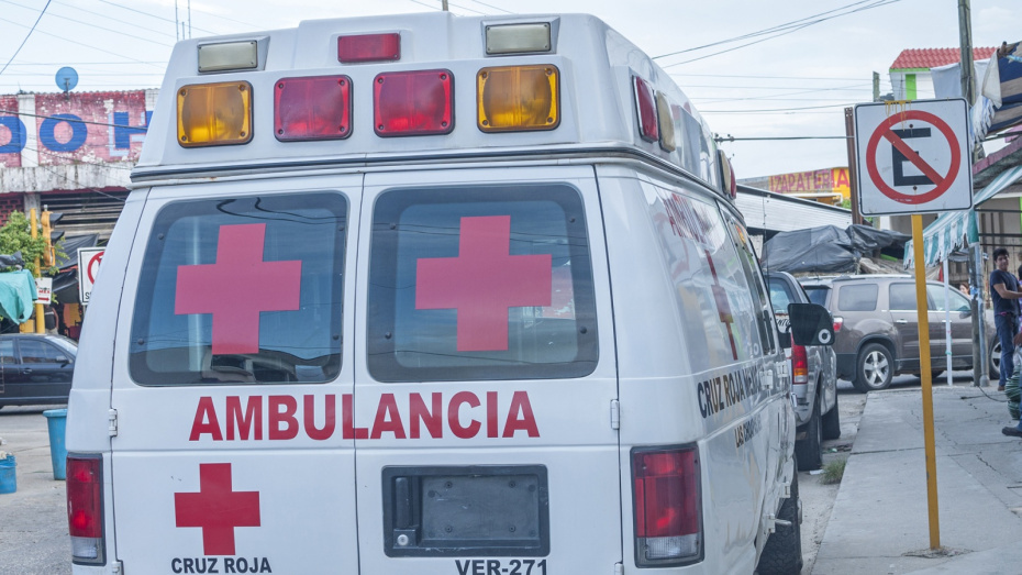    Shutterstock/FOTODOM