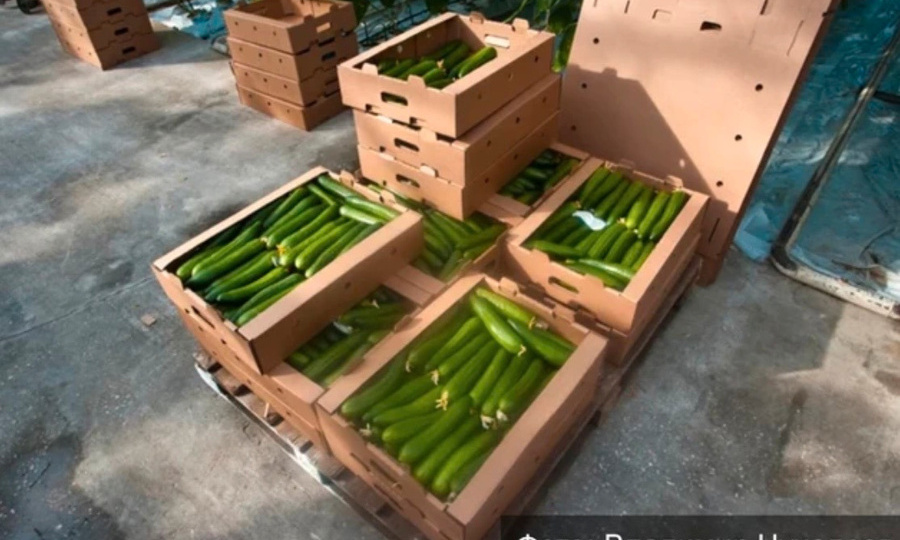 Во Владимирской области подорожали овощи, смартфоны, билеты в кино