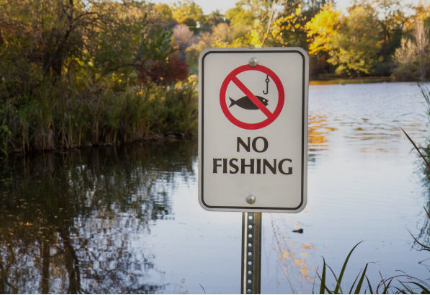 Штраф за рыбалку в 2026 году: за что теперь могут наказать даже заядлого рыболова?