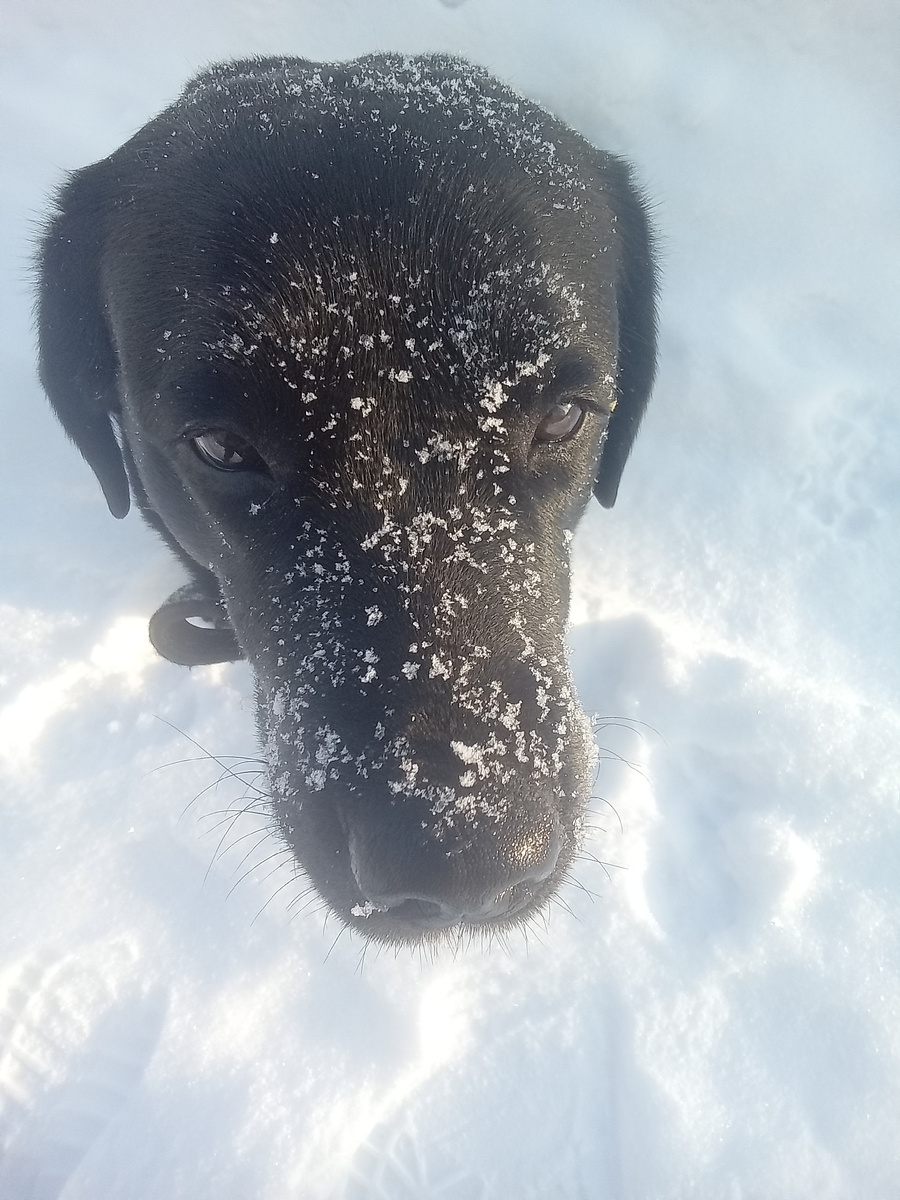 Фото автора. 