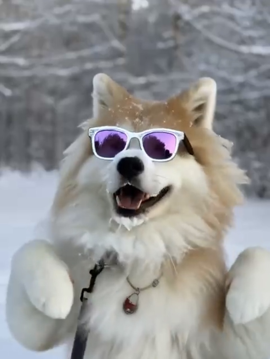 Как выглядит искусственный интеллект ?