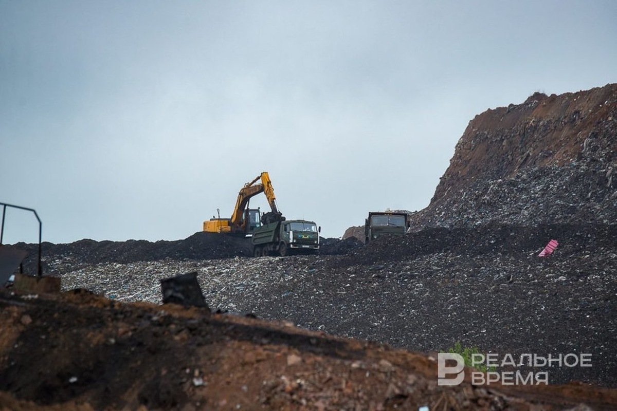   Максим Платонов / realnoevremya.ru