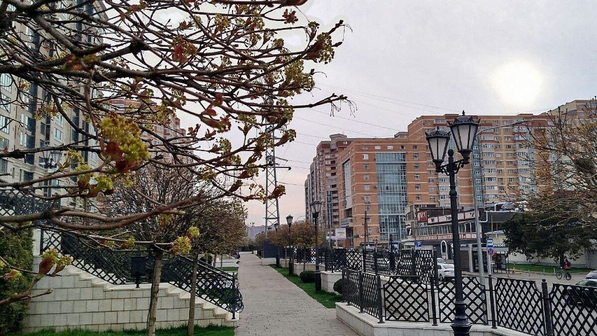    Фото: телеканал «Краснодар»