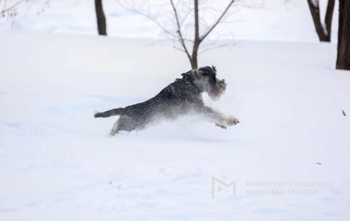 Фотограф: Ярослав Чингаев