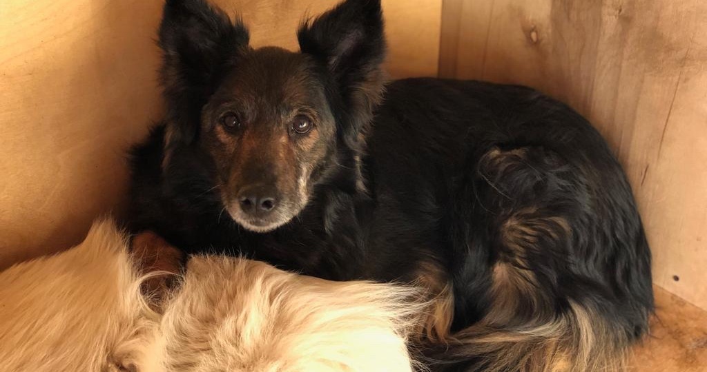 Фонд «РЭЙ» помогает: история Алисы