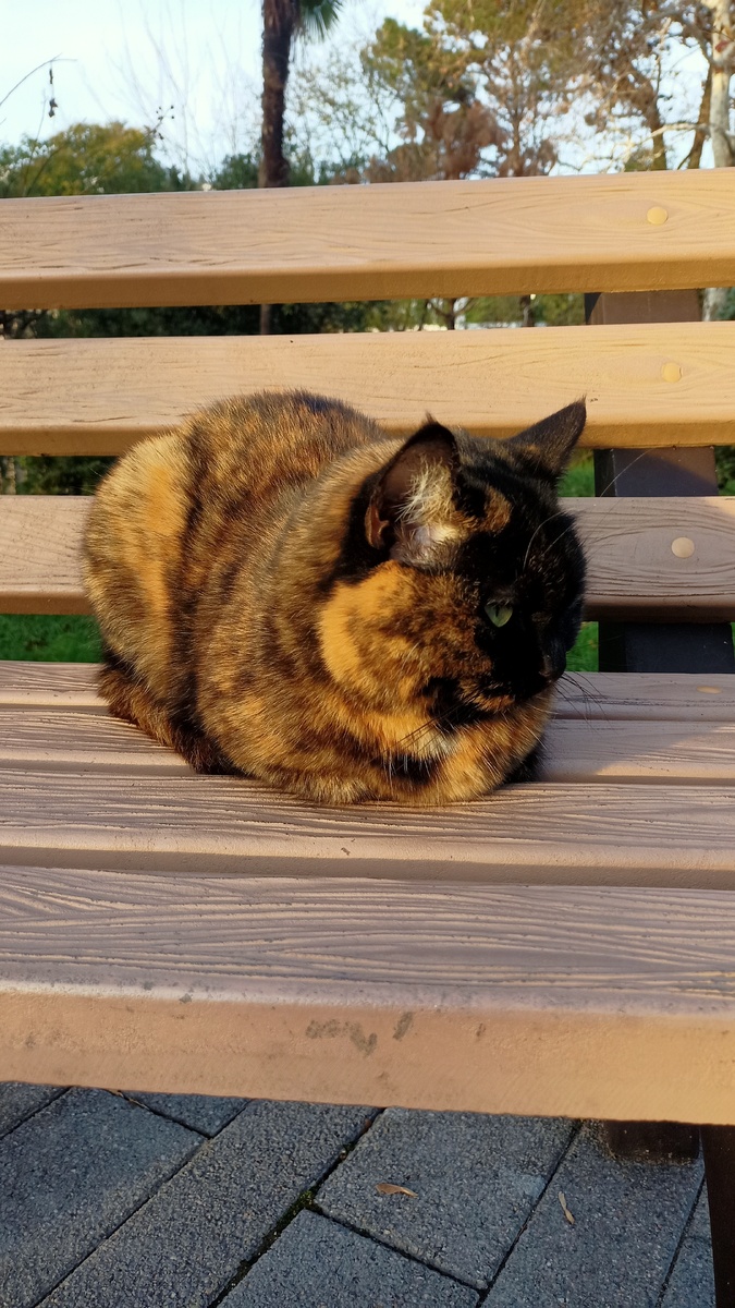 Здесь и далее - фото автора