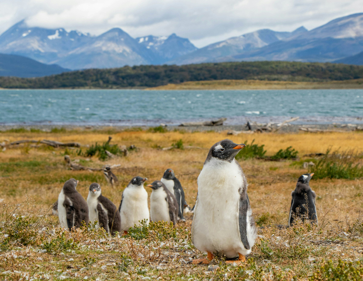 Остров находится в окружении живописных гор. Фото: Agus Buscaglia / Unsplash
