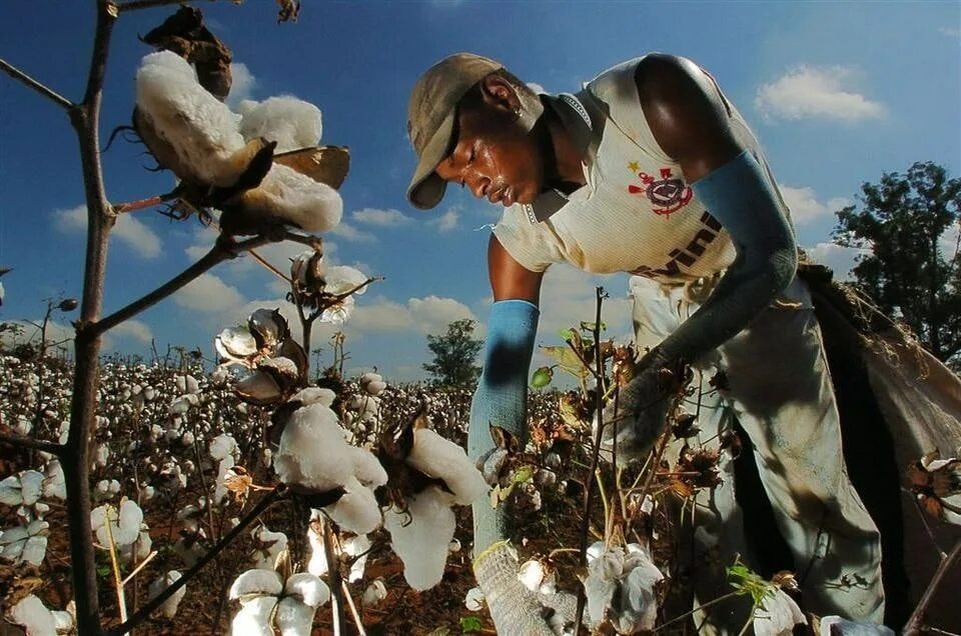 Веками ничего не меняется