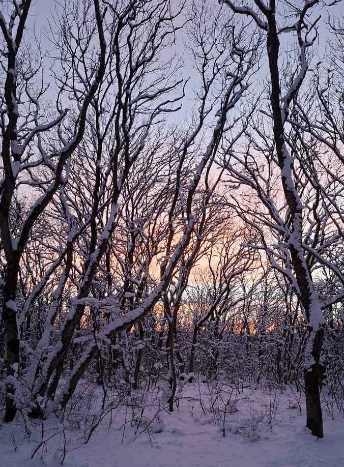 фотография автора
