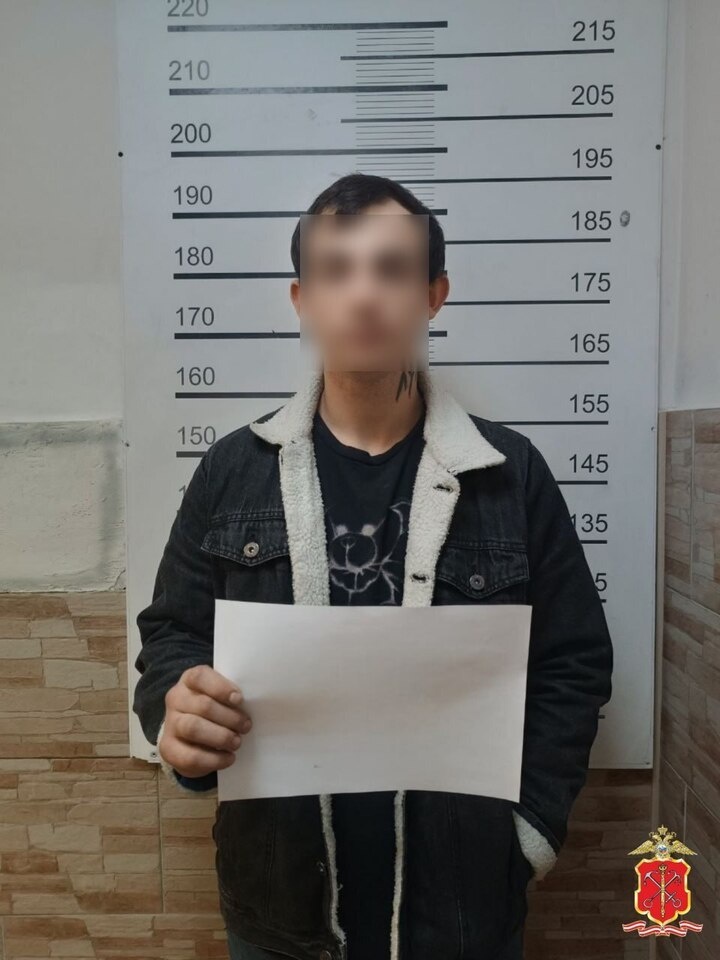     Фото: Официальный телеграм-канал полиции Петербурга.
