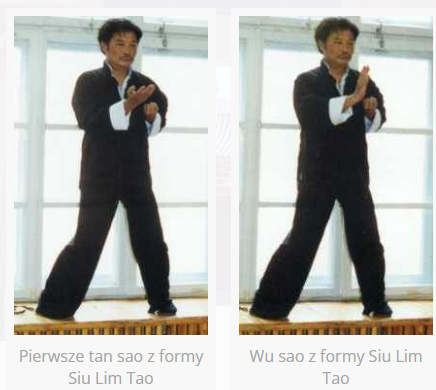 Первое Тан сао из формы Сиу Лим Тао. Ву сао из формы Сиу Лим Тао