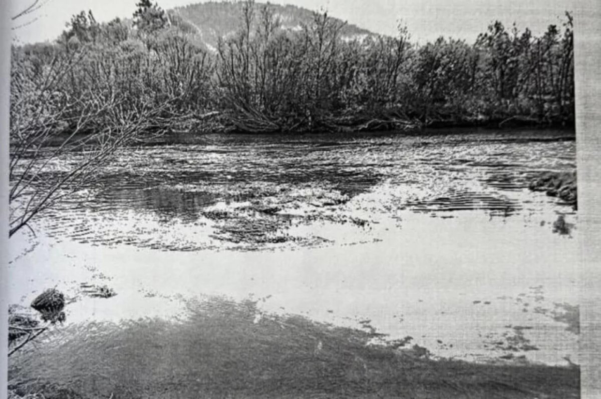    Двоих забайкальцев осудили за рыбалку во время нереста