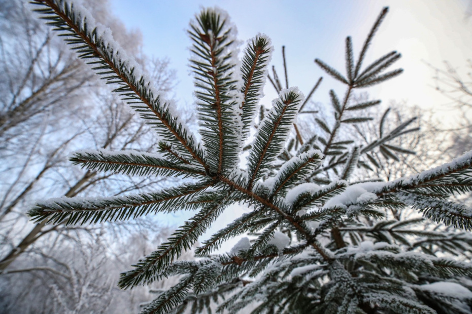    Сергей Лантюхов/NEWS.ru