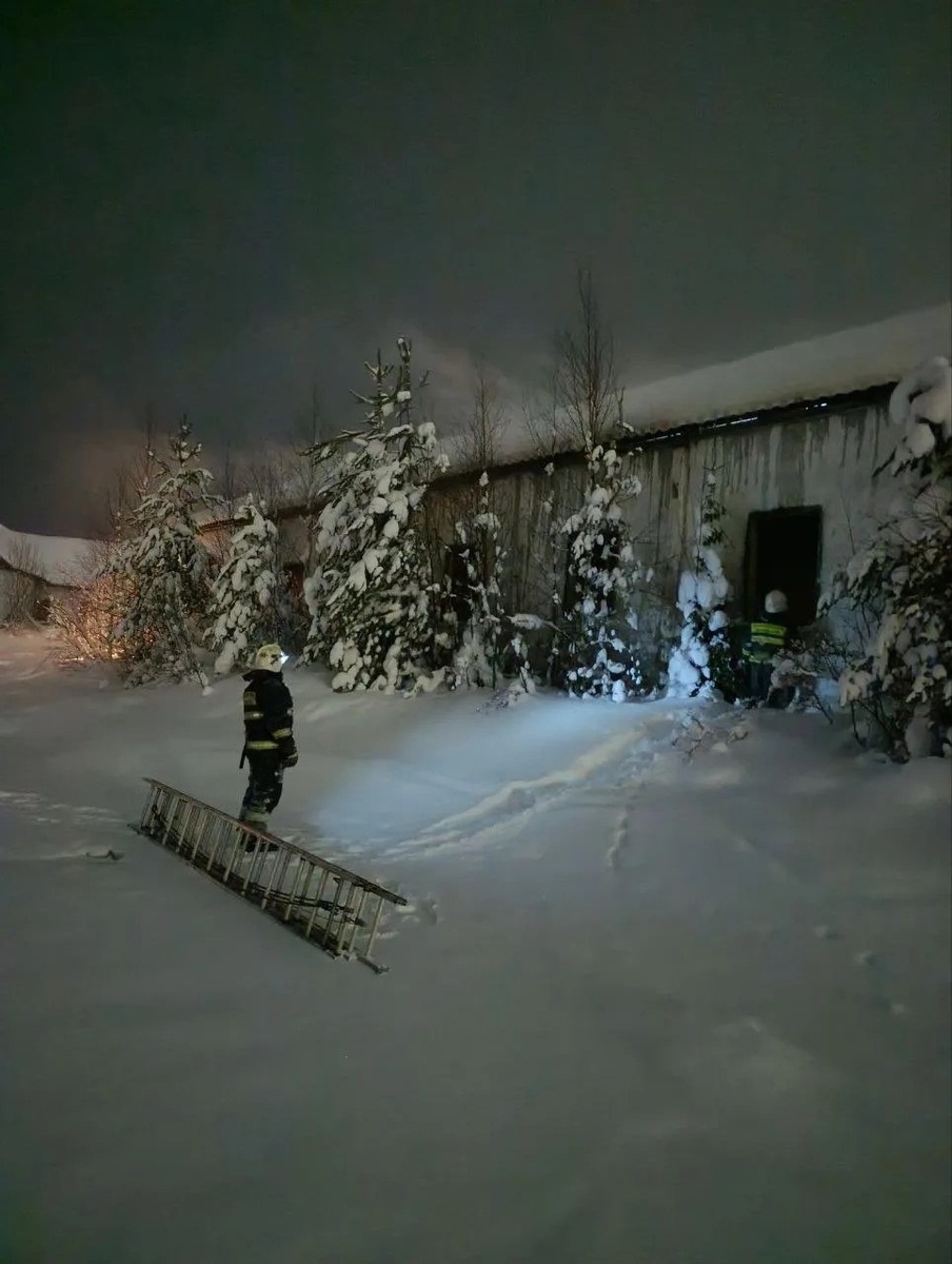    Фото: Госкомитет Карелии по безопасности / Telegram