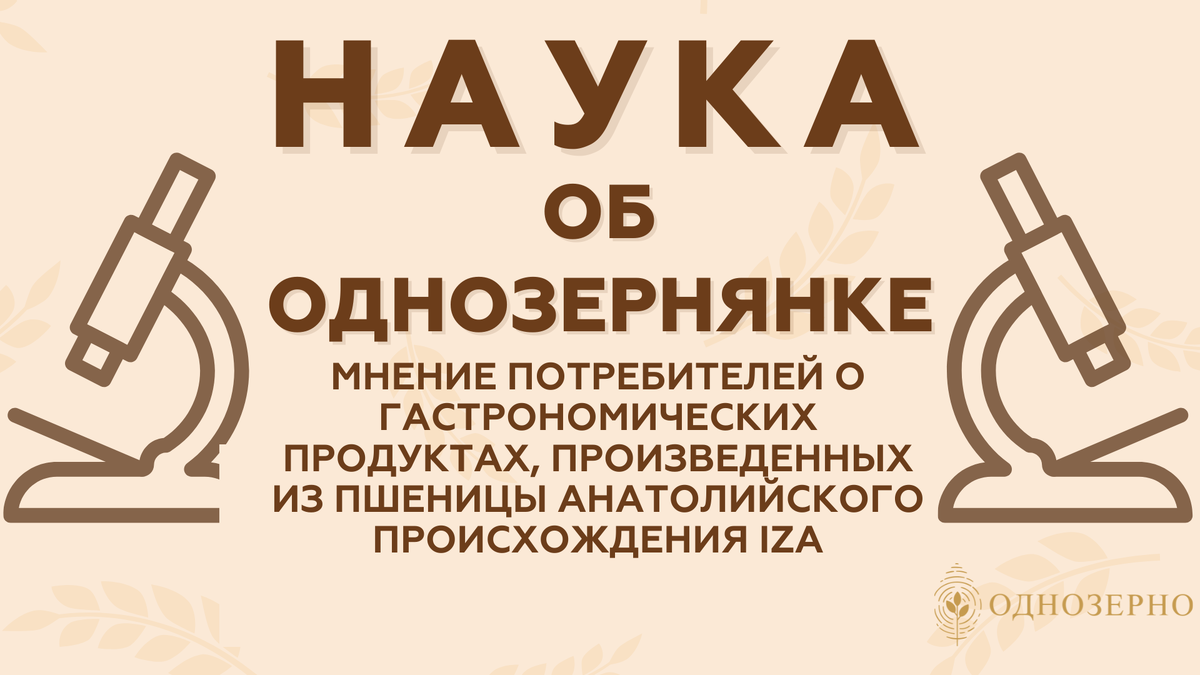 Статья опубликована в журнале Journal of Gastronomy, Hospitality and Travel, 20.03.2023 https://www.joghat.org/