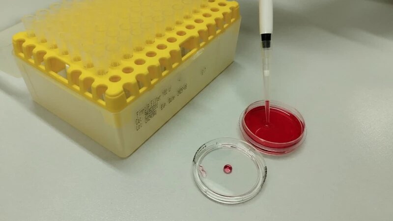     Наука. Пробирки. Планшет для эксплантов. Altapress.ru