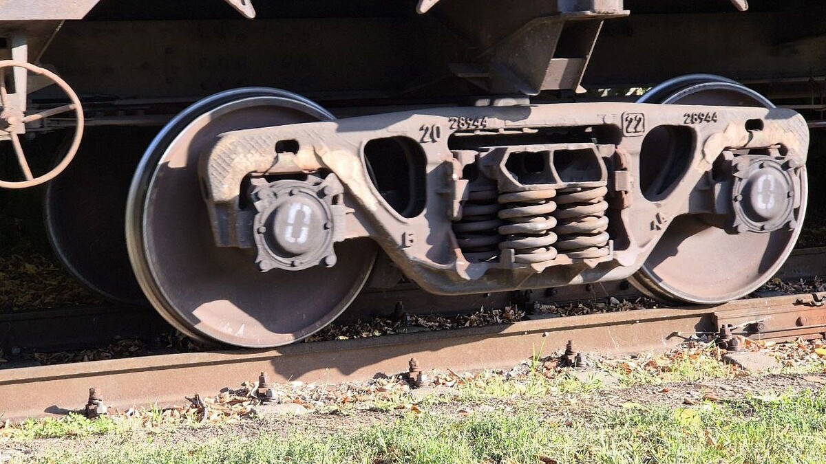    Фото: телеканал «Краснодар»