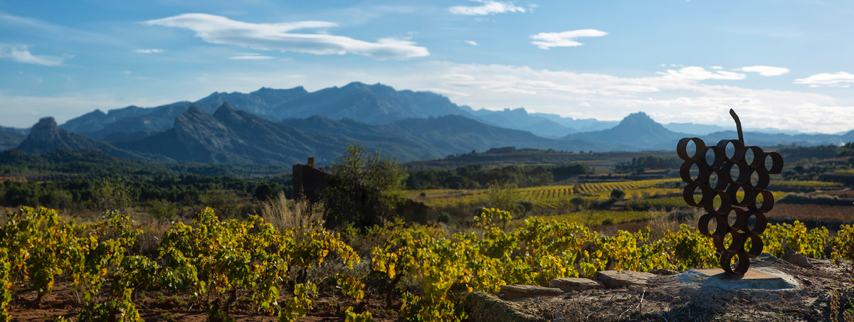 Виноградники Terra Alta