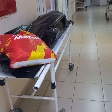     © фото - Курские Известия